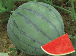 ��Ʒ����